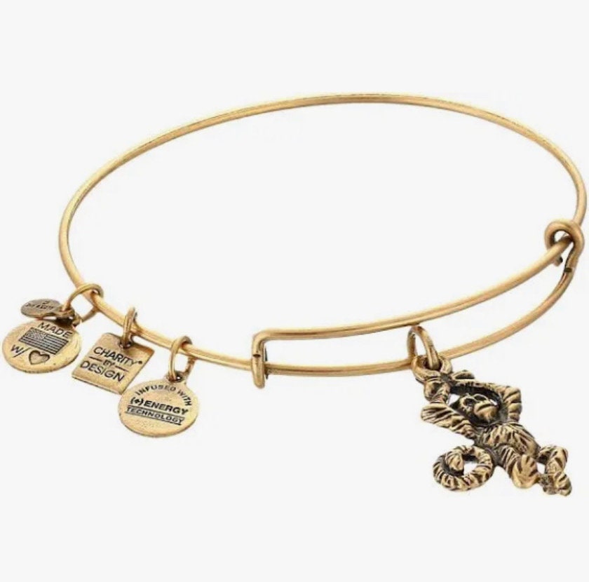 Alex and Ani - Monkey Charm Bangle, Charity by Design, Adjustable & Stackable, Gift for An Animal Lover, Collectable Bracelet for Her, EUC