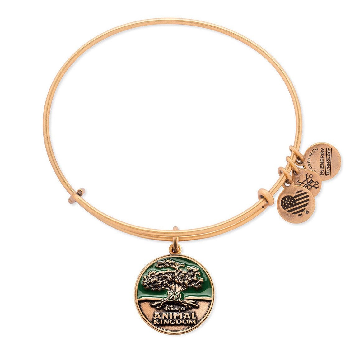 Alex and Ani - Disney Park Exclusive - Animal Kingdom Charm Bangle Bracelet, Rafaelian Gold, NWOT, Gift for Her