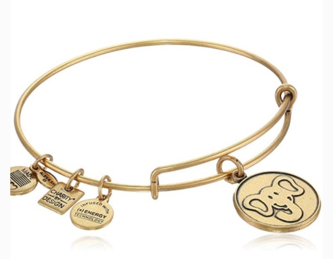 Alex and Ani - Charity by Design , Elephant Friends of Jaclyn Foundation Charm Bracelet,  Rafaelian Silver/Gold/Rose Gold®, Collector's Gift