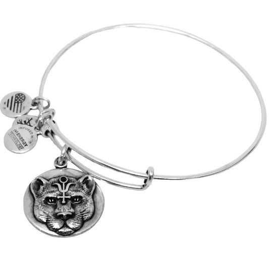 Alex and Ani - Wild Heart Charm, Rafaelian Silver, Panther Charm Bangle Bracelet, Stackable, Collector’s Gift for Her, 1 - NWOT