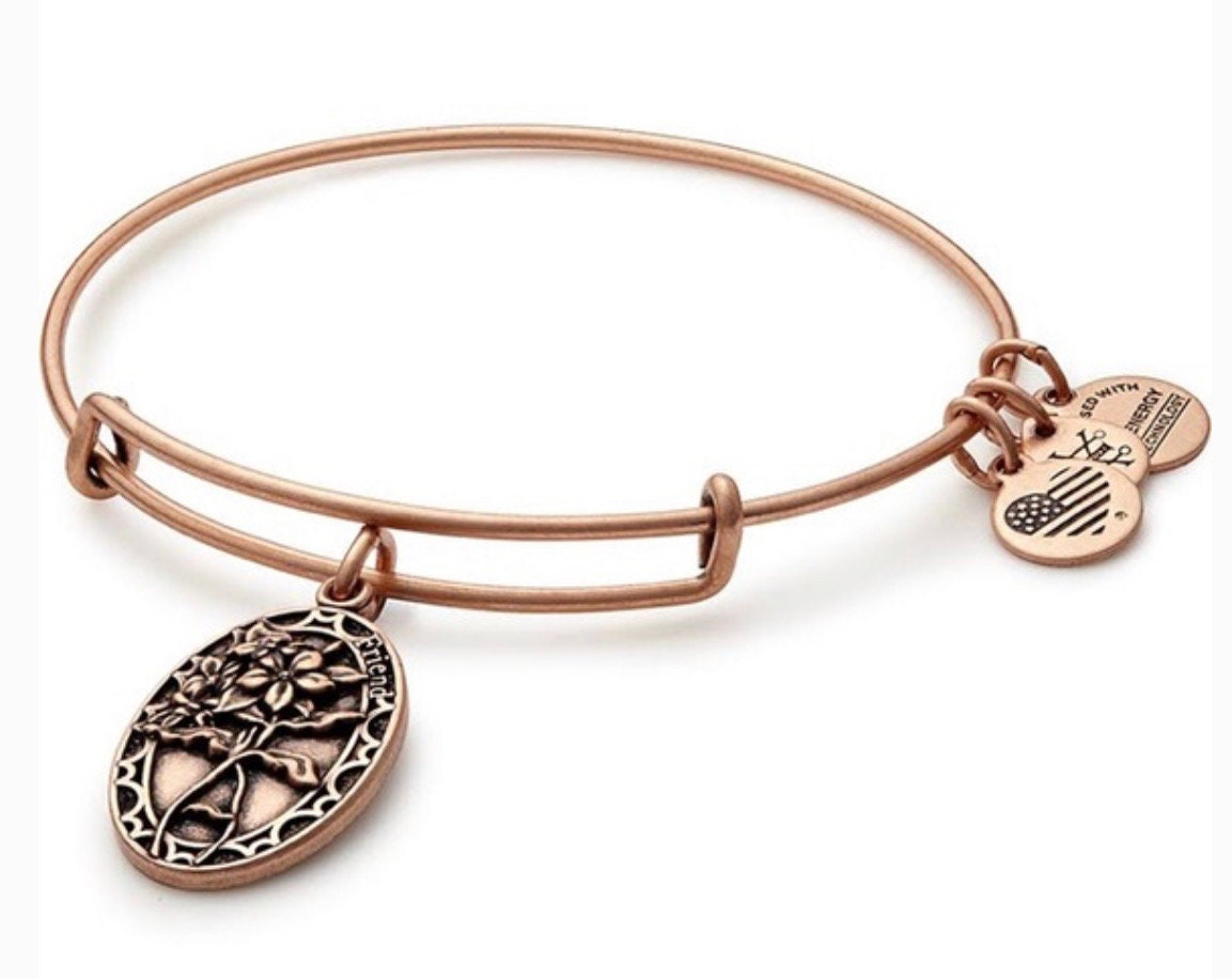 Alex and Ani - Because I Love You, Friend Charm in Rafaelian Silver/Gold/Rose Gold, for Your BFF, Bestie, Collector’s Gift for Her