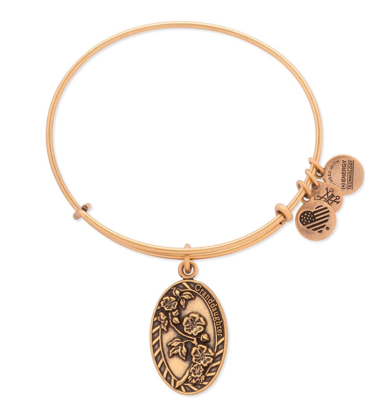 Alex and Ani - Because I Love You Granddaughter II Charm Bangle Bracelet