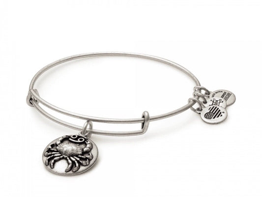 Alex and Ani - Cancer Zodiac Charm Bangle Bracelet, 06/21-07/22, Rafaelian Silver, Collector’s Gift For Her, NWOT