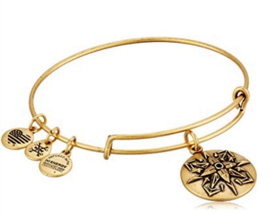 Alex and Ani - Healing Love Charm Bangle Bracelet -  Rafaelian Gold®, Adjustable, Stackable, Collector’s Gift for Her