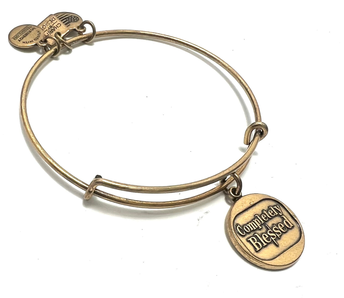 Alex and Ani - Completely Blessed Charm Bangle Bracelet