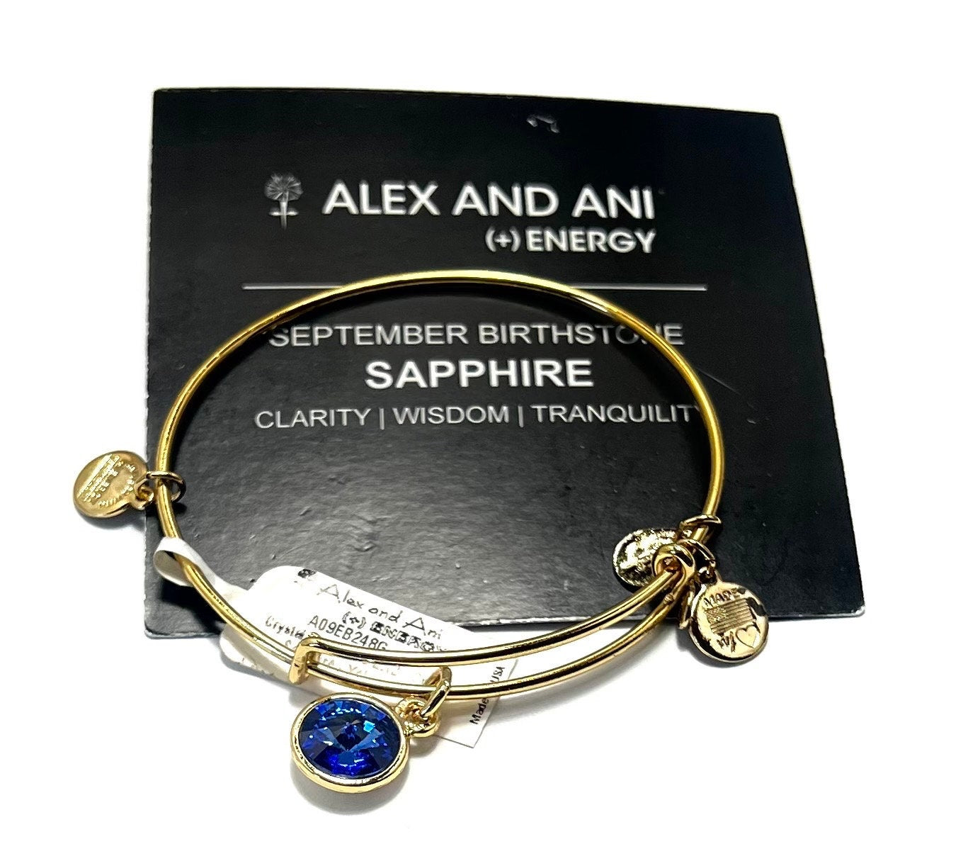 Alex and Ani - September Birthstone, Sapphire Crystal Charm Bangle, Rafaelian Silver, Stackable, Collectors Gift for Her