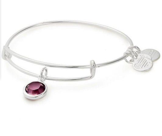 Alex and Ani - February Birth Swarovski Crystal Amethyst, Two Styles