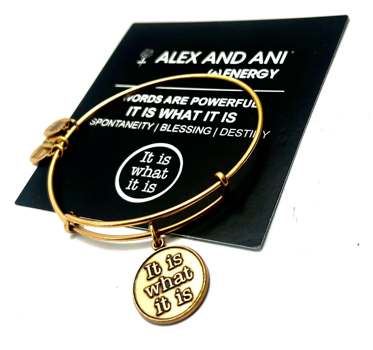 Alex and Ani - “It Is What It Is” Charm Bangle Rafaelian Silver/Gold, Stackable, Adjustable, Collector’s Bracelet, Gift for Her