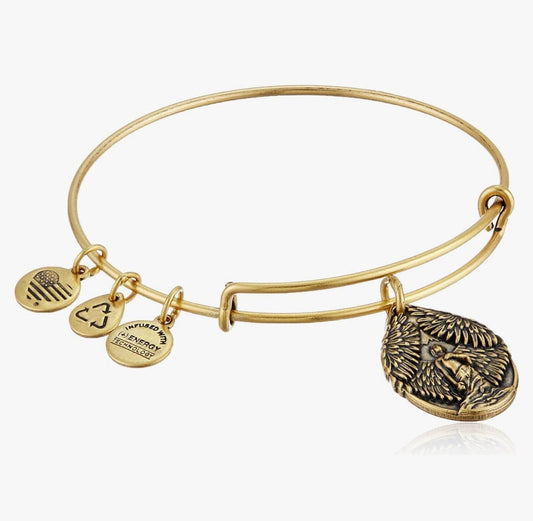 Alex and Ani - Guardian of Peace  Charm, Rafaelian Gold, Angel Bangle Bracelet, Adjustable & Stackable, NWT + Card, Collectors Gift for Her