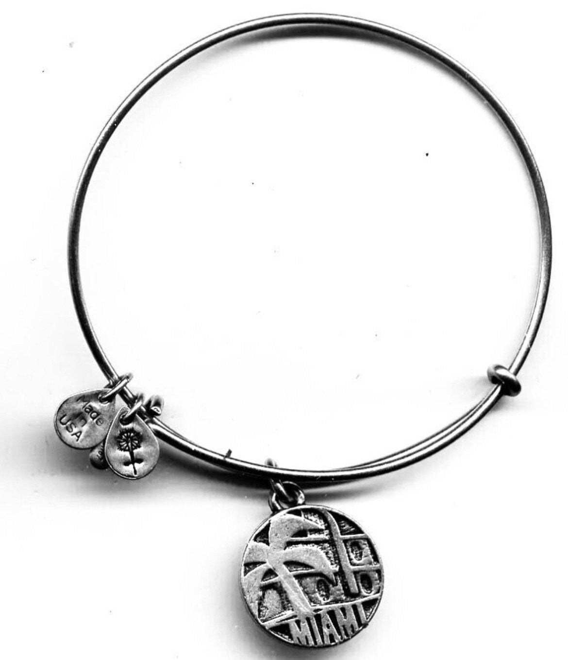 Alex and Ani - Places We Love Miami II, Destinations Charm Bangle Bracelet