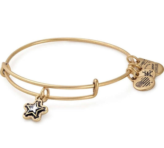 Alex and Ani - True Wish Star Charm Bangle Bracelet with Swarovski Crystal Star - Rafaelian Gold/Silver, Stackable, Collectable Gift for Her