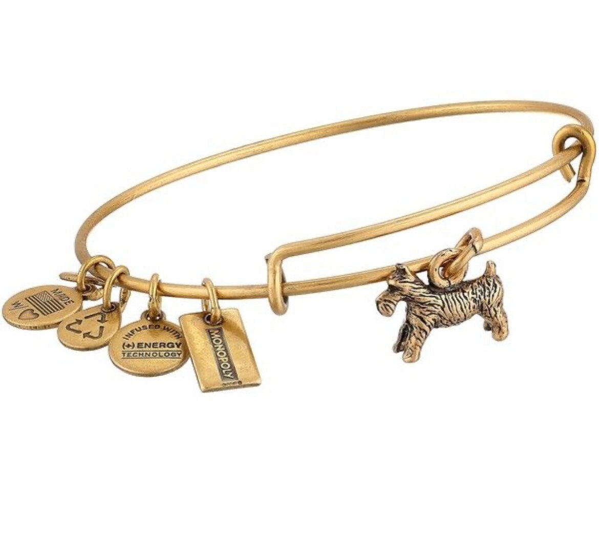 Alex and Ani - Monopoly Dog Charm Bangle Bracelet