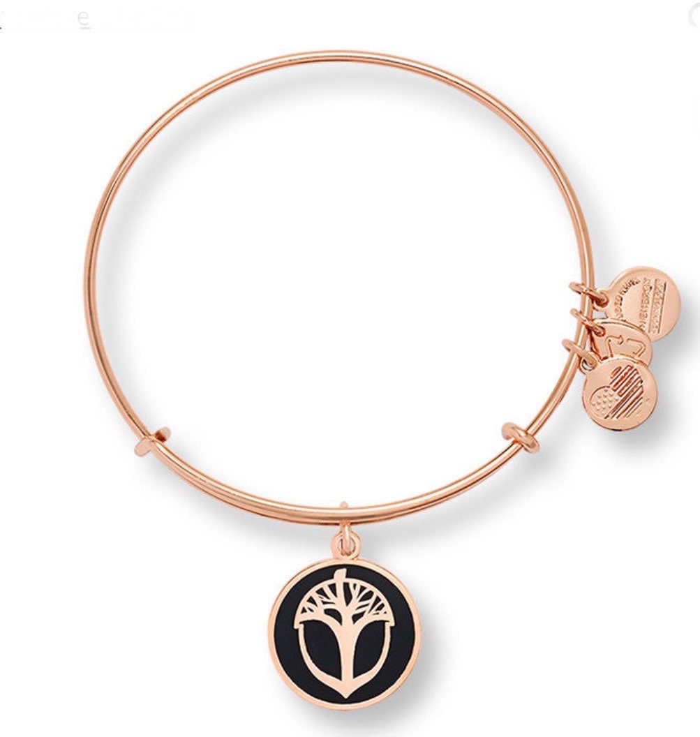 Alex and Ani - Unexpected Miracles Color Infused Olive Background Charm Rafaelian Silver/Gold, Rafaelian Rose Gold, Collectable Gift for Her