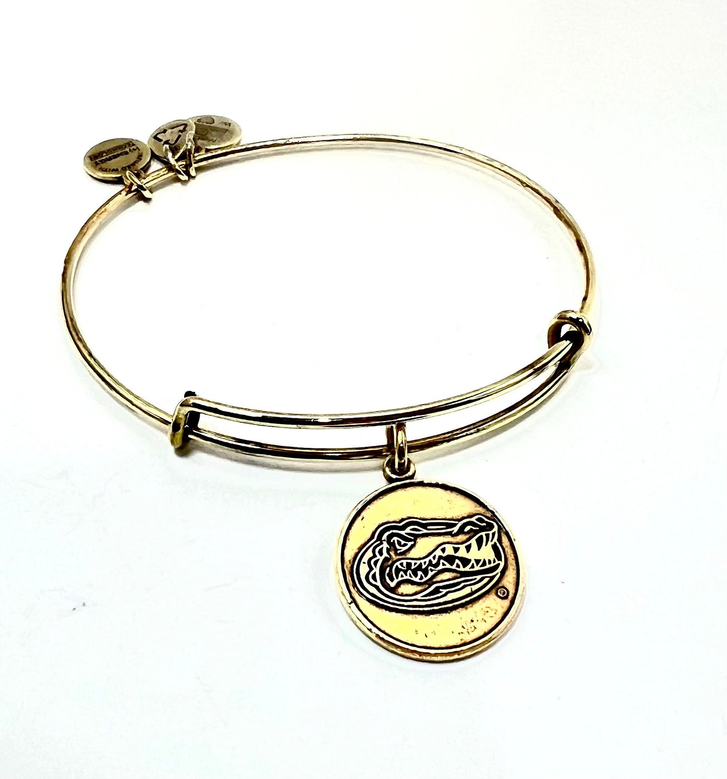 Alex and Ani - Florida State University Gator Charm, Alumni,  in Rafaelian Silver/Gold, Collectable Gift For Her, EUC