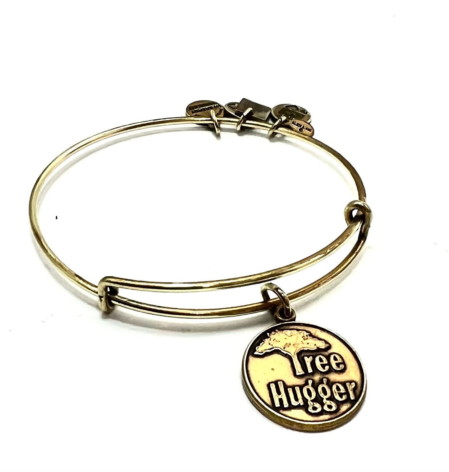 Alex and Ani - Tree of Hugger Charm Bangle Bracelet